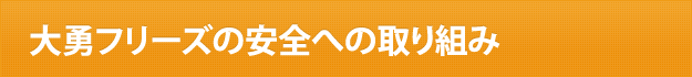 大勇フリーズの安全への取り組み